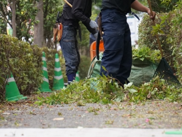 植栽の管理